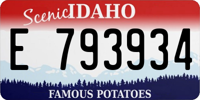 ID license plate E793934