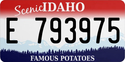 ID license plate E793975