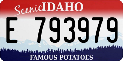 ID license plate E793979