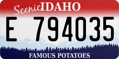 ID license plate E794035