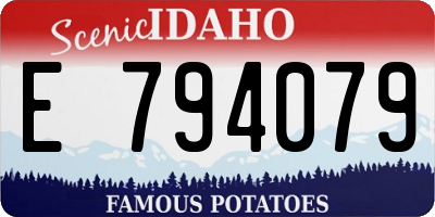 ID license plate E794079