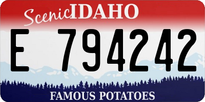 ID license plate E794242