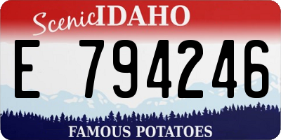 ID license plate E794246
