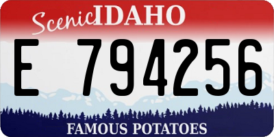 ID license plate E794256