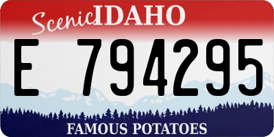 ID license plate E794295