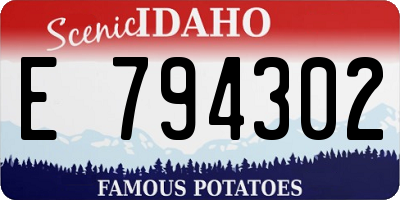 ID license plate E794302