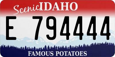 ID license plate E794444
