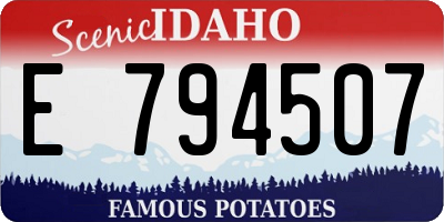 ID license plate E794507