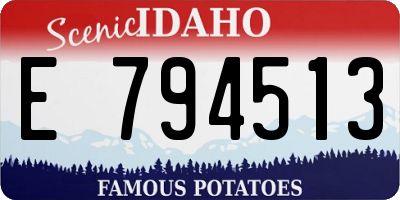 ID license plate E794513