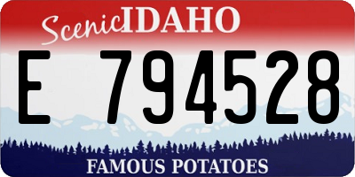 ID license plate E794528