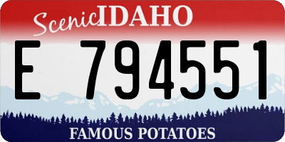 ID license plate E794551