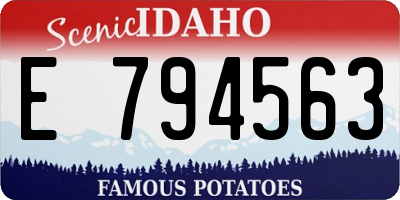 ID license plate E794563