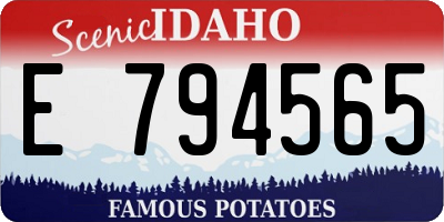 ID license plate E794565
