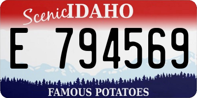 ID license plate E794569