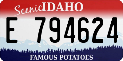 ID license plate E794624