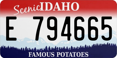 ID license plate E794665