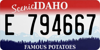 ID license plate E794667