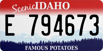 ID license plate E794673