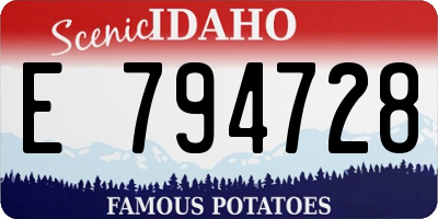 ID license plate E794728