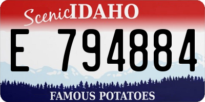 ID license plate E794884