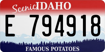 ID license plate E794918