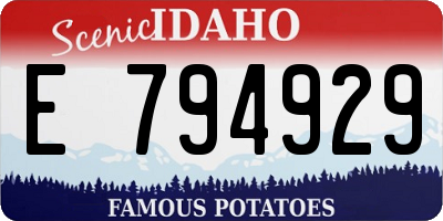 ID license plate E794929