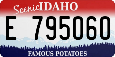 ID license plate E795060