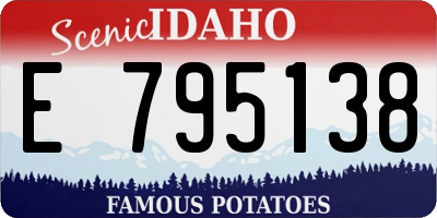 ID license plate E795138