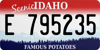 ID license plate E795235