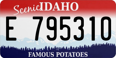 ID license plate E795310