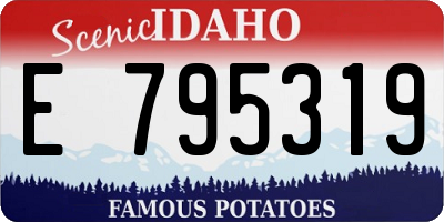ID license plate E795319