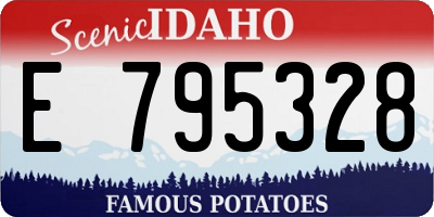 ID license plate E795328