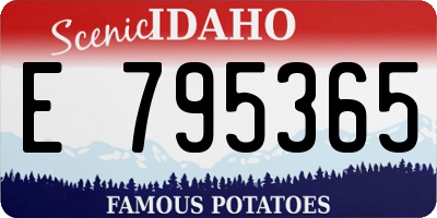 ID license plate E795365
