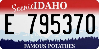 ID license plate E795370