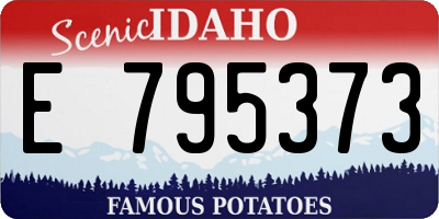 ID license plate E795373