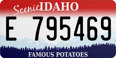 ID license plate E795469