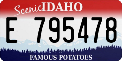 ID license plate E795478