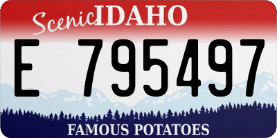 ID license plate E795497