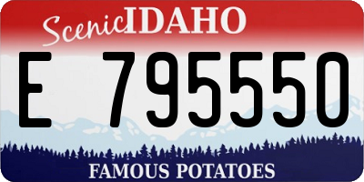 ID license plate E795550