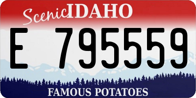 ID license plate E795559