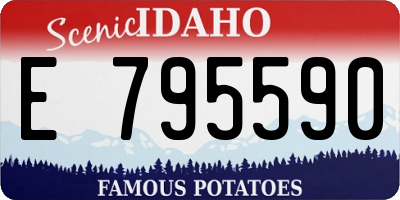 ID license plate E795590