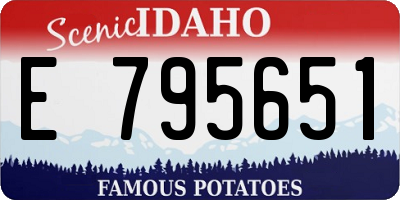 ID license plate E795651