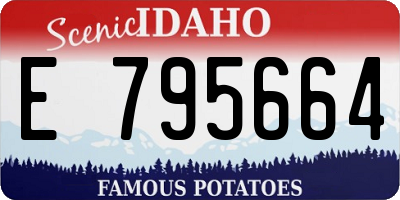 ID license plate E795664