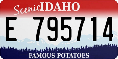 ID license plate E795714
