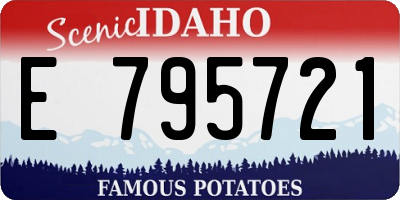 ID license plate E795721