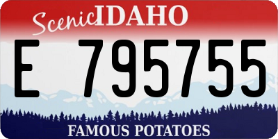 ID license plate E795755