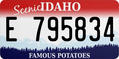 ID license plate E795834