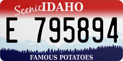 ID license plate E795894