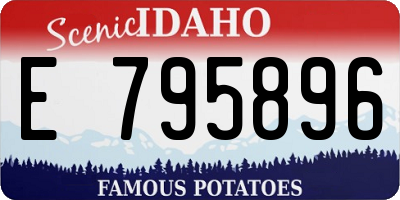 ID license plate E795896