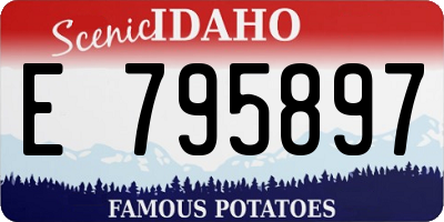ID license plate E795897